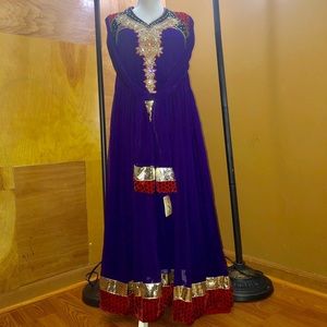 Gorgeous Indian/Pakistani Gown Anarkali Kurta